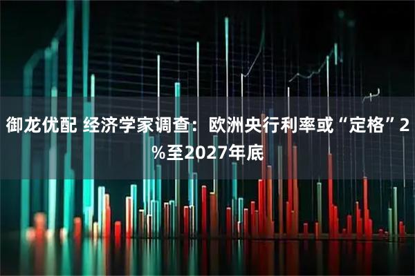 御龙优配 经济学家调查：欧洲央行利率或“定格”2%至2027年底