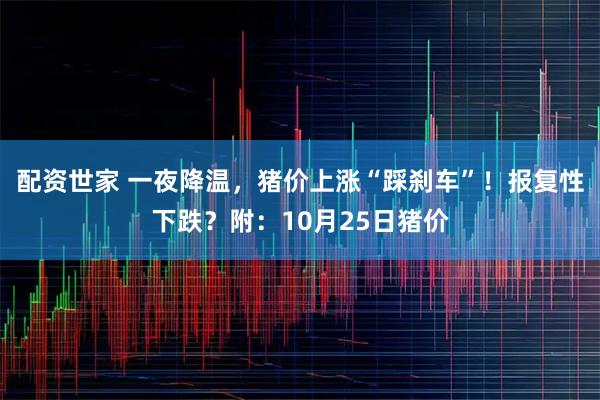 配资世家 一夜降温，猪价上涨“踩刹车”！报复性下跌？附：10月25日猪价