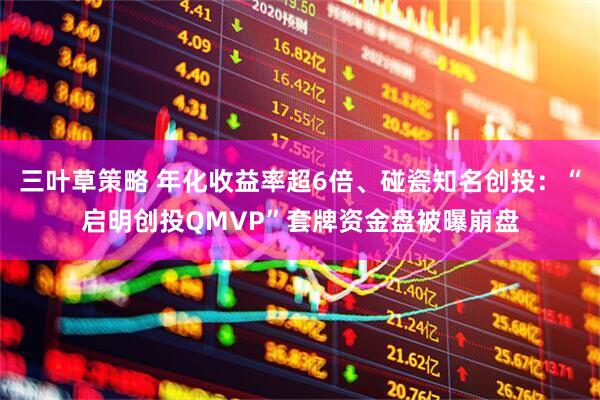 三叶草策略 年化收益率超6倍、碰瓷知名创投：“启明创投QMVP”套牌资金盘被曝崩盘