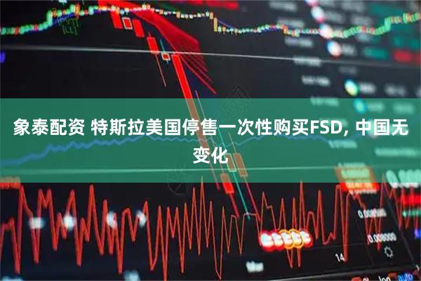 象泰配资 特斯拉美国停售一次性购买FSD, 中国无变化
